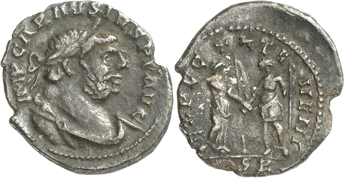 Carausius