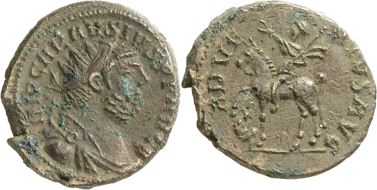 Carausius