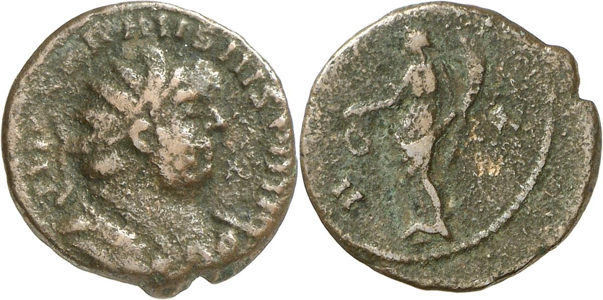 Carausius