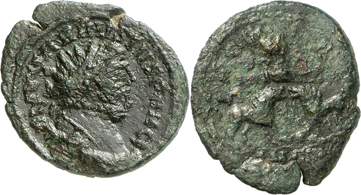 Carausius