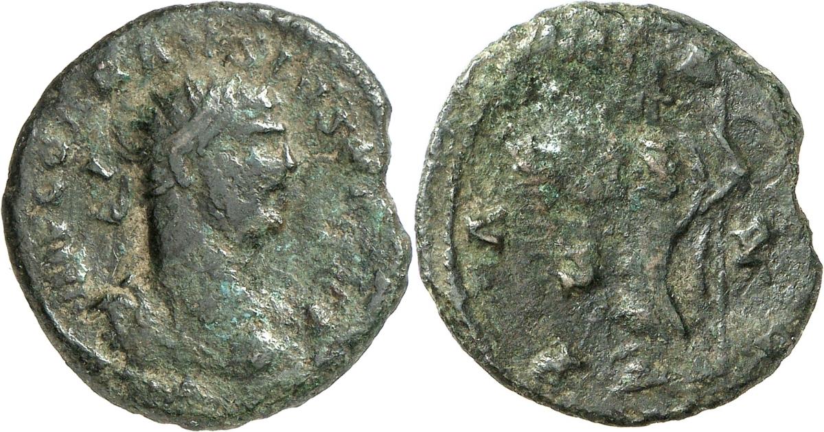 Carausius