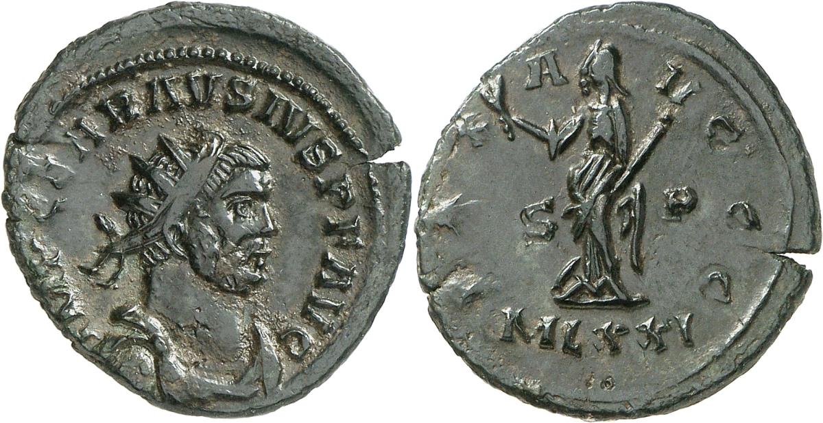 Carausius
