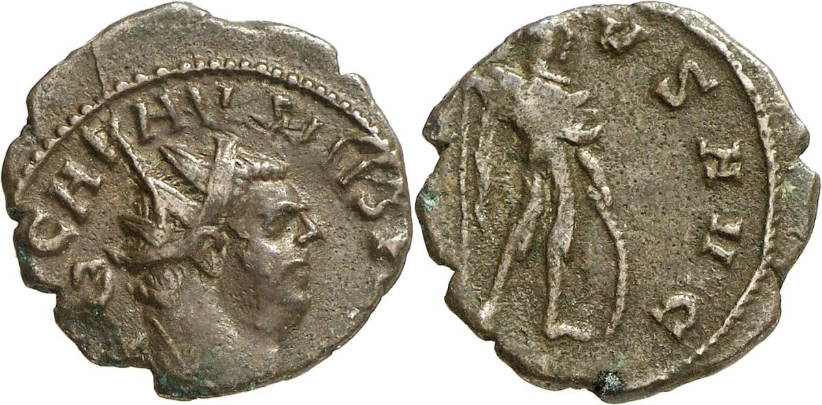 Carausius