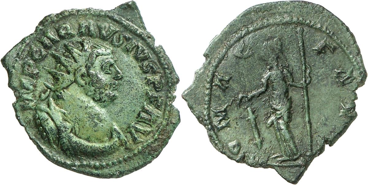 Carausius