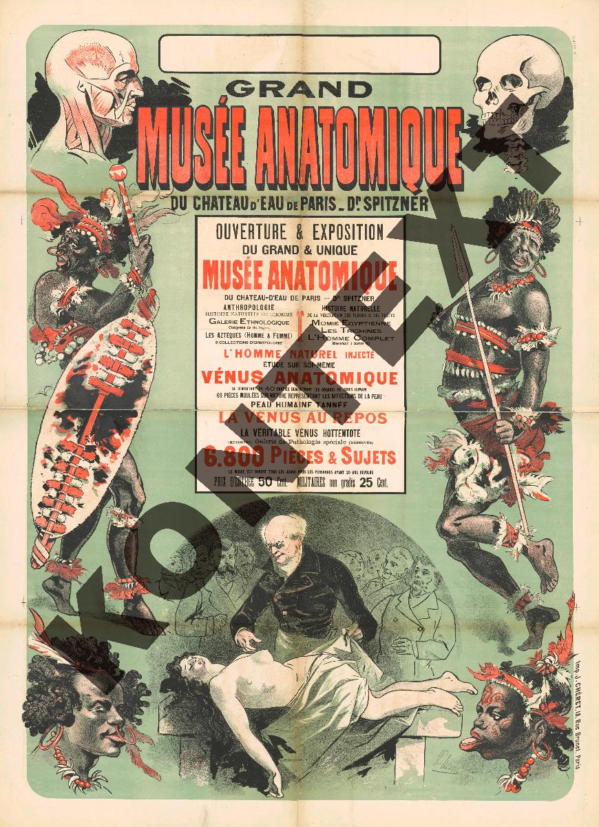 Grand Musée Anatomique