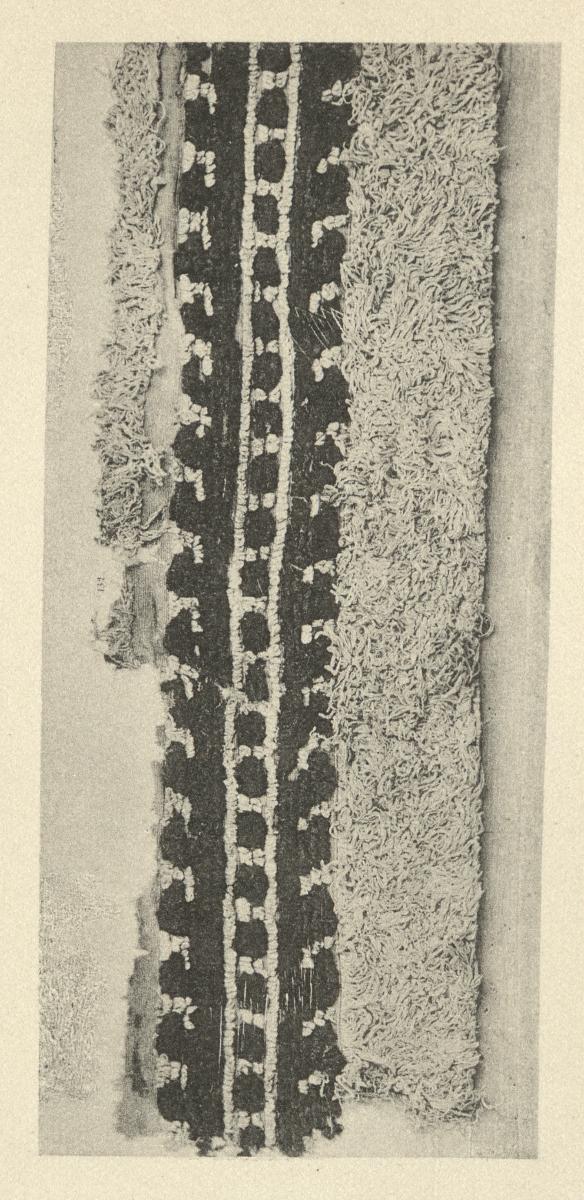 Zierborte