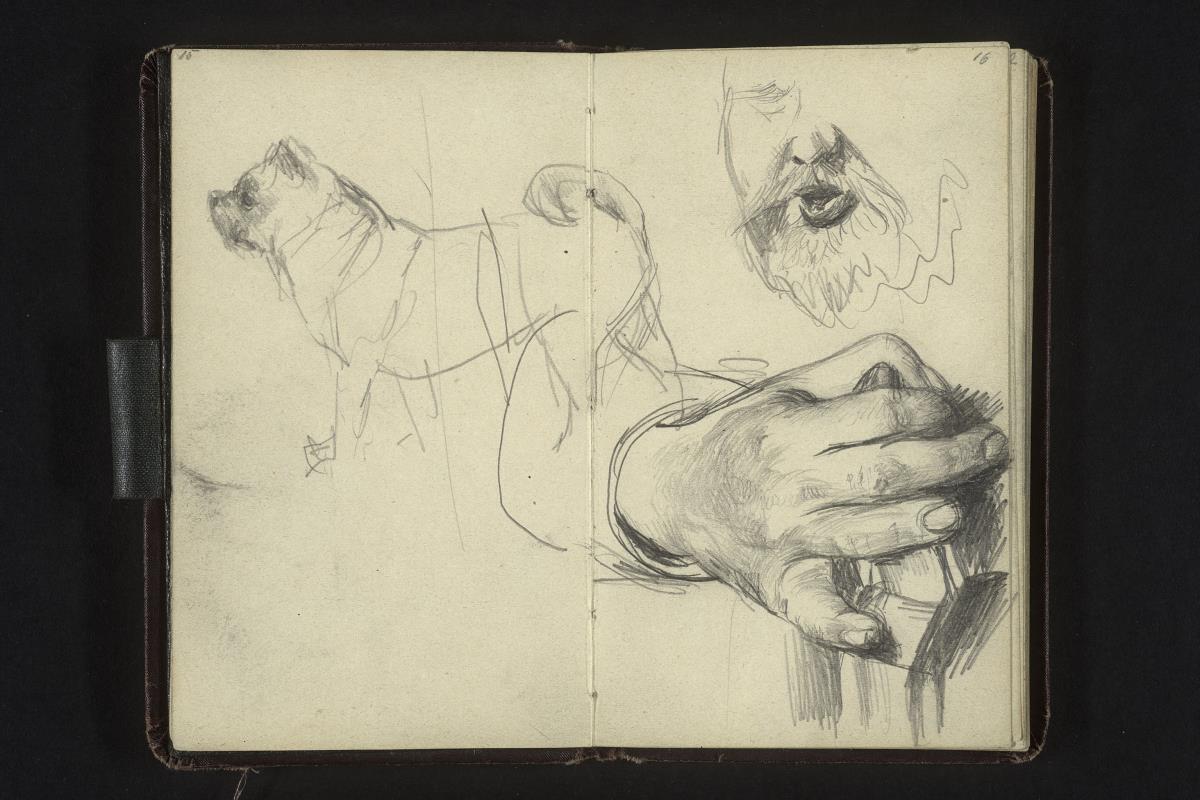Hund, Hand auf einer Möbelecke, Teil eines Männergesichts