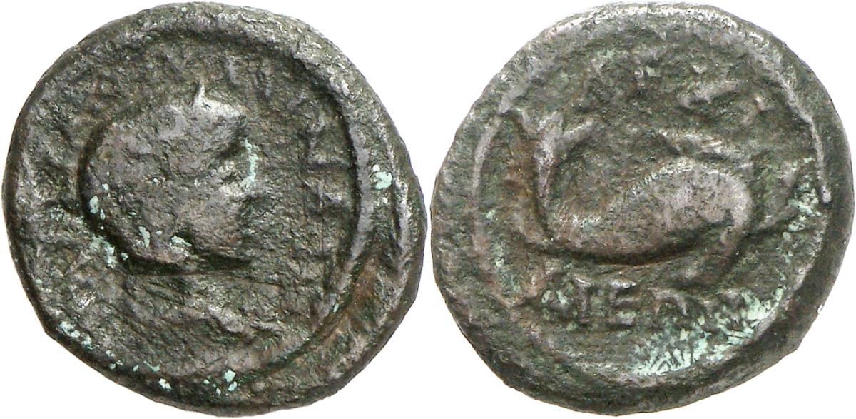 Anchialos
