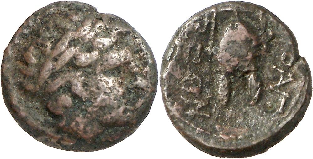 Orthagoria