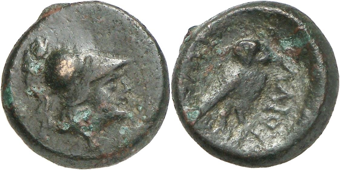 Elaious