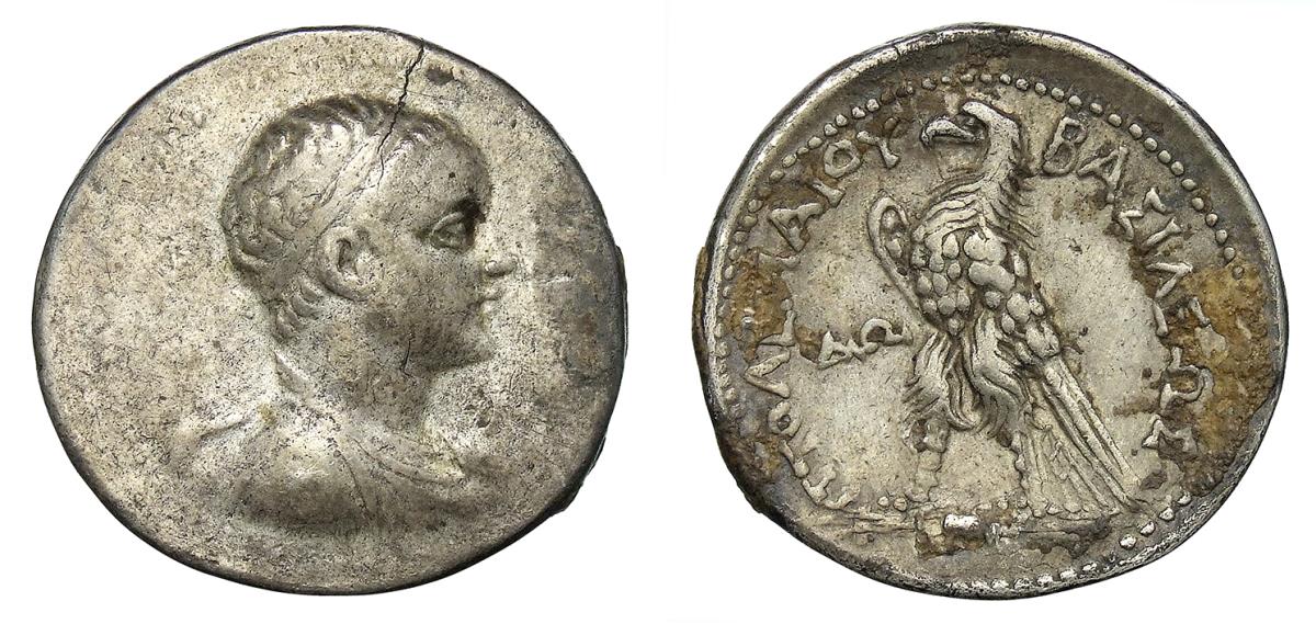 Ptolemäer: Ptolemaios V.