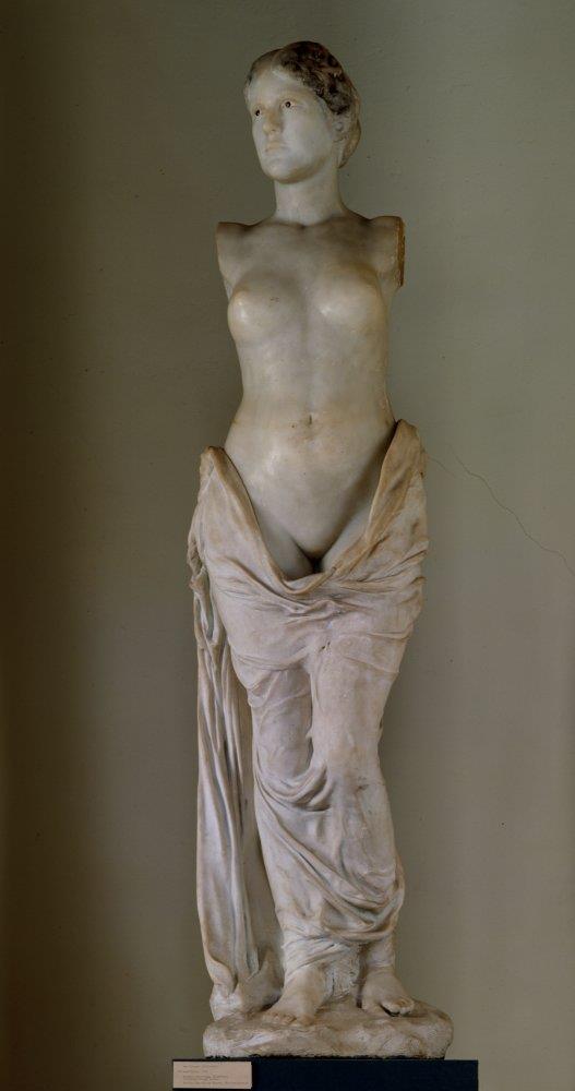 Amphitrite