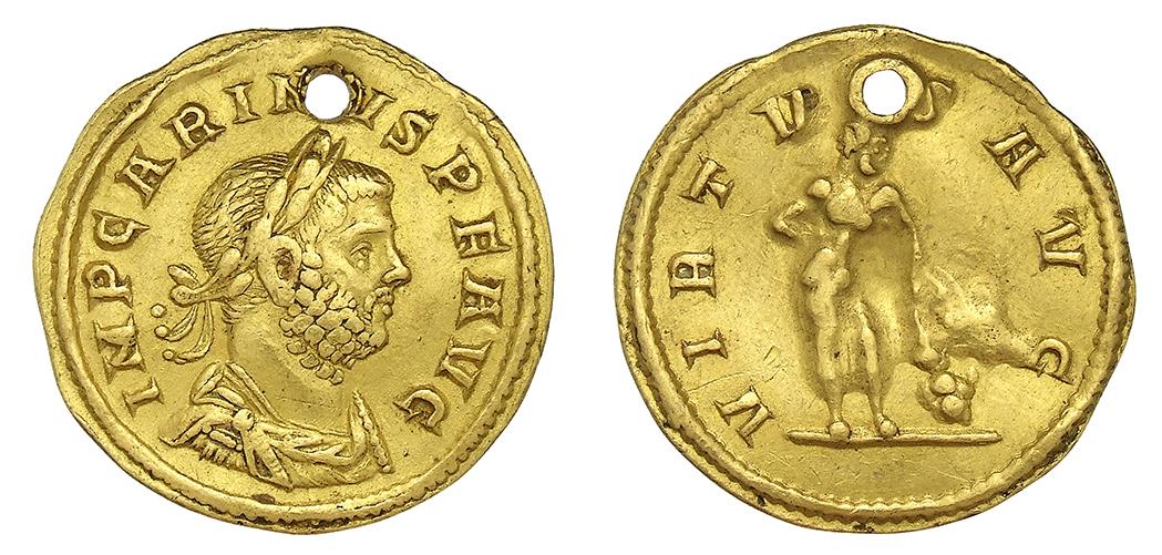 Carinus