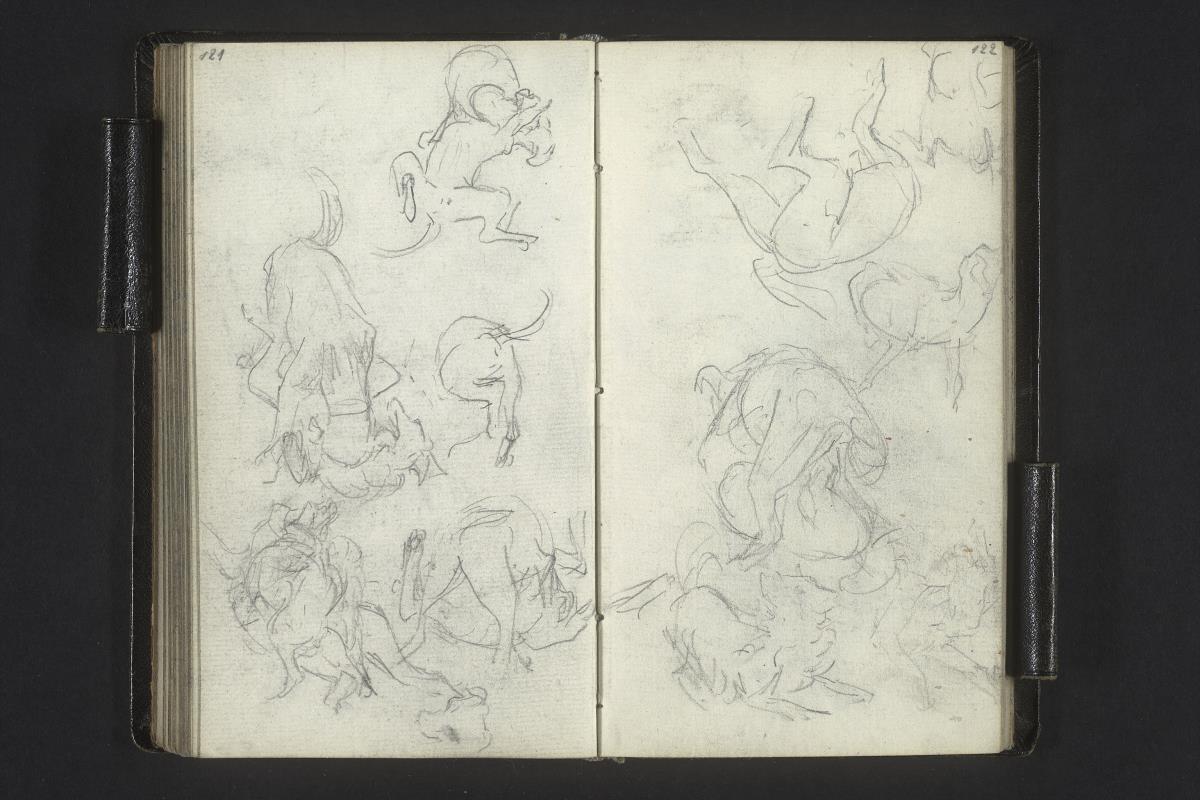 Hundestudien