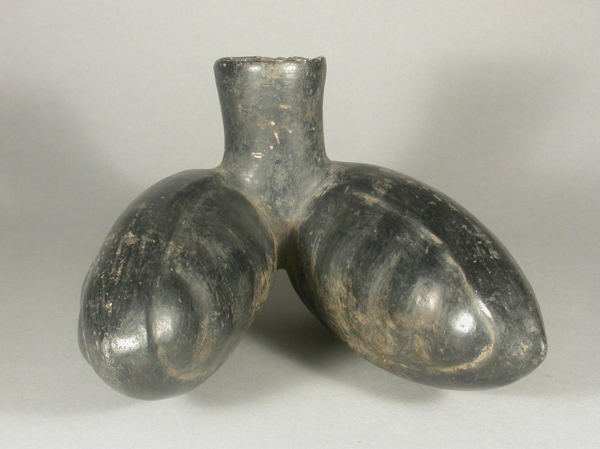 Guaba