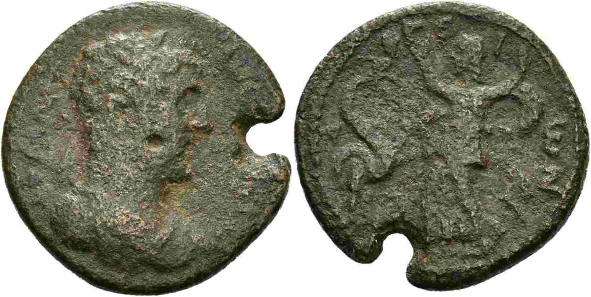 Argos