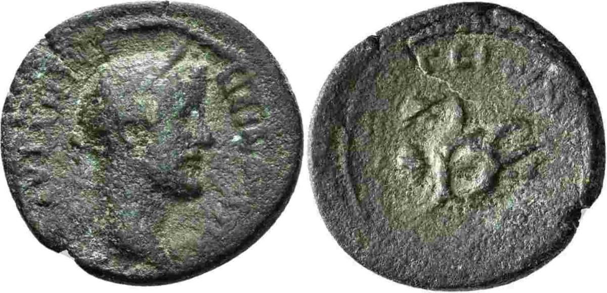 Argos