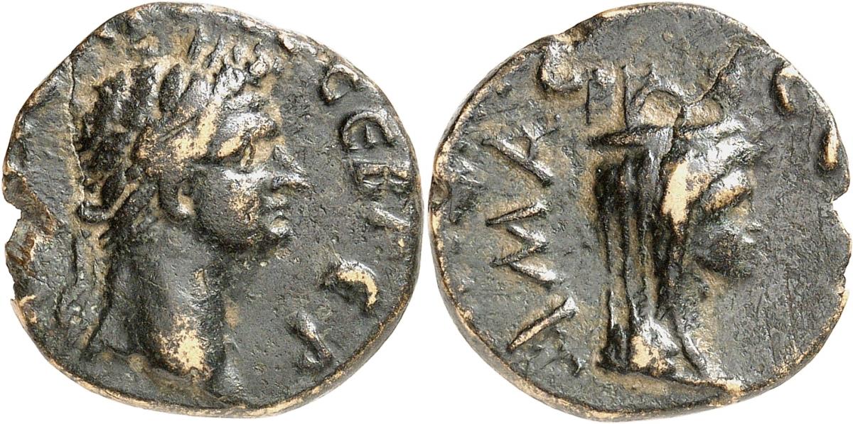 Amaseia