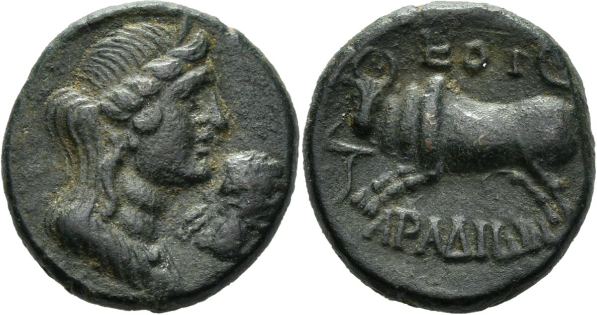 Arados