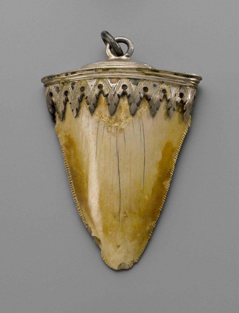 Amulett mit fossilem Haifischzahn