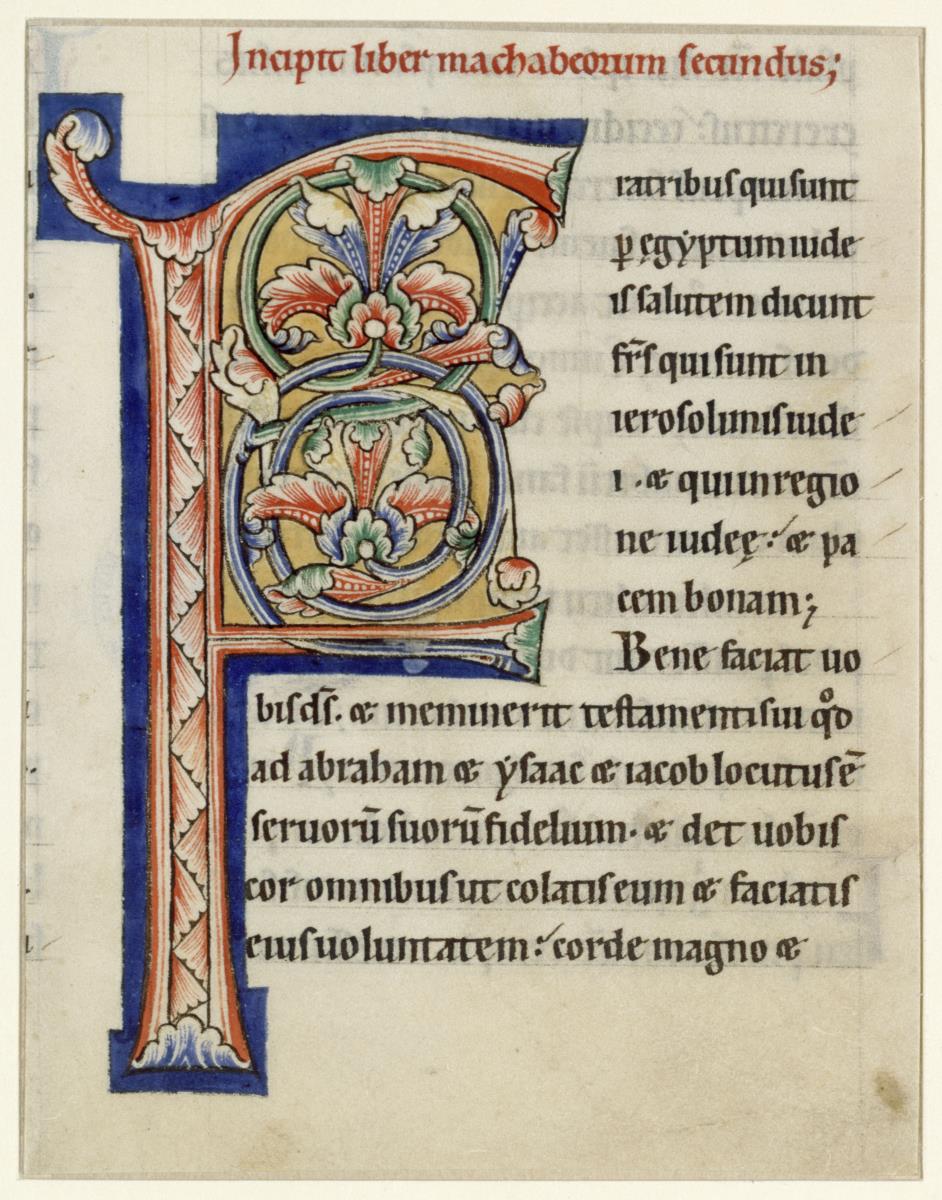 Initiale F(ratribus qui sunt), Bibel, Maasgebiet
