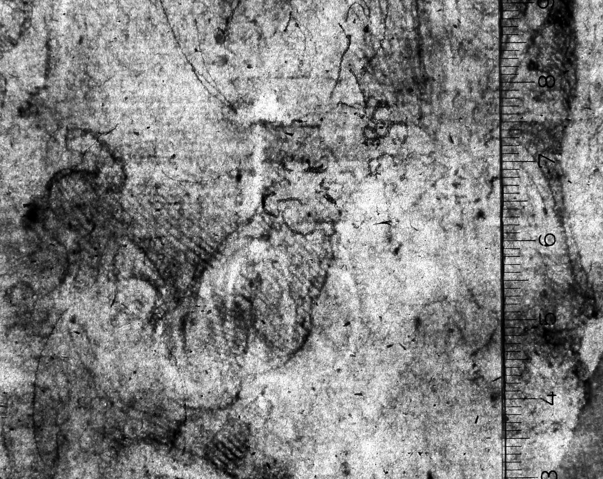 Drei Philosophen und andere Figuren vor einer thronenden Figur
