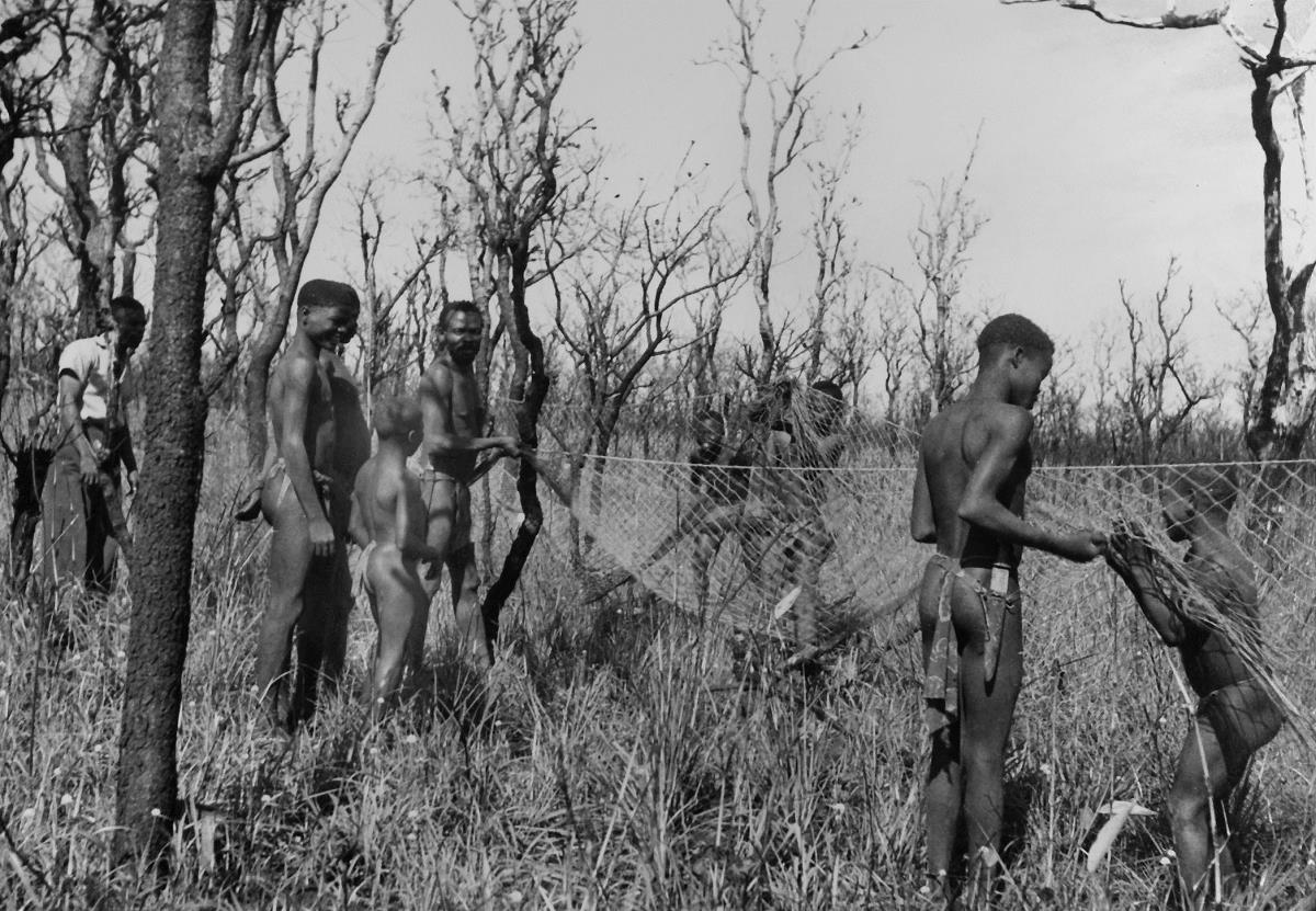 Chasseurs (race Boya) tendant leurs filets près de Carnot