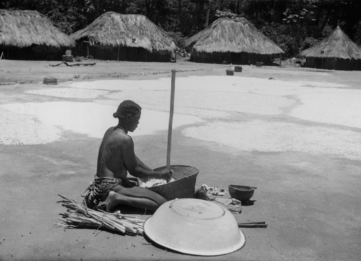 Région de Carnot. Séchage du manioc