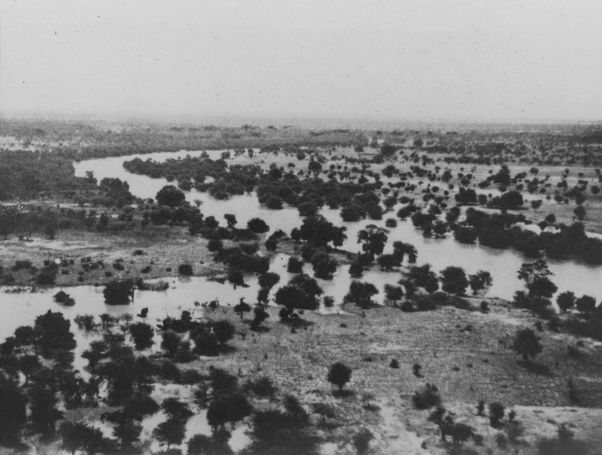 Parklandschaft der Umgebung des Tschadsees zur Hochwasserzeit.