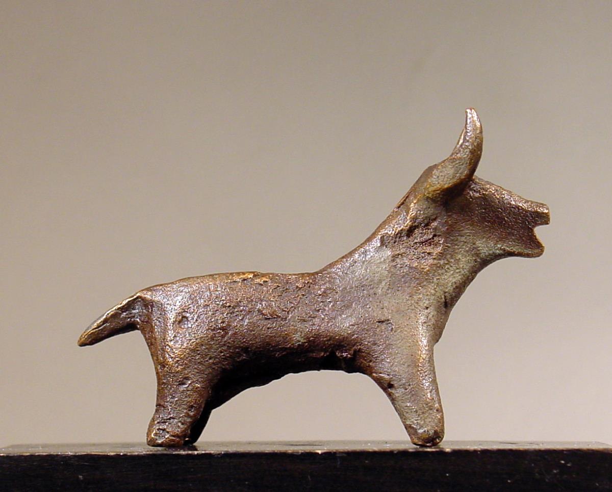 Rind (Stier)
