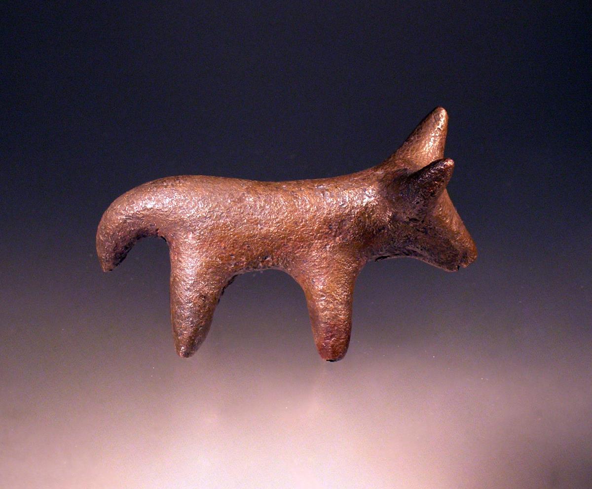 Rind (Stier)