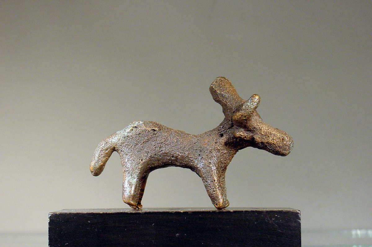 Rind (Stier)