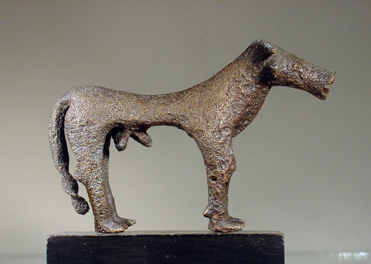 Rind (Stier)