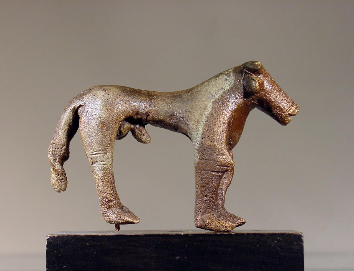 Rind (Stier)