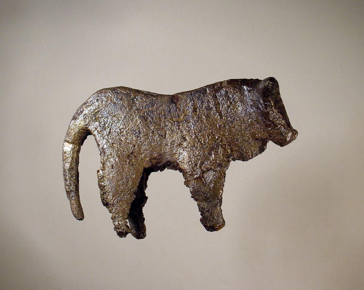 Rind (Stier)