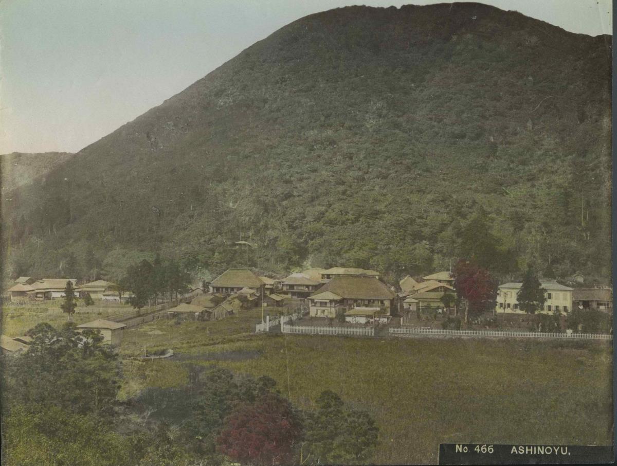 Das Dorf Ashinoyu (あしノ湯村)