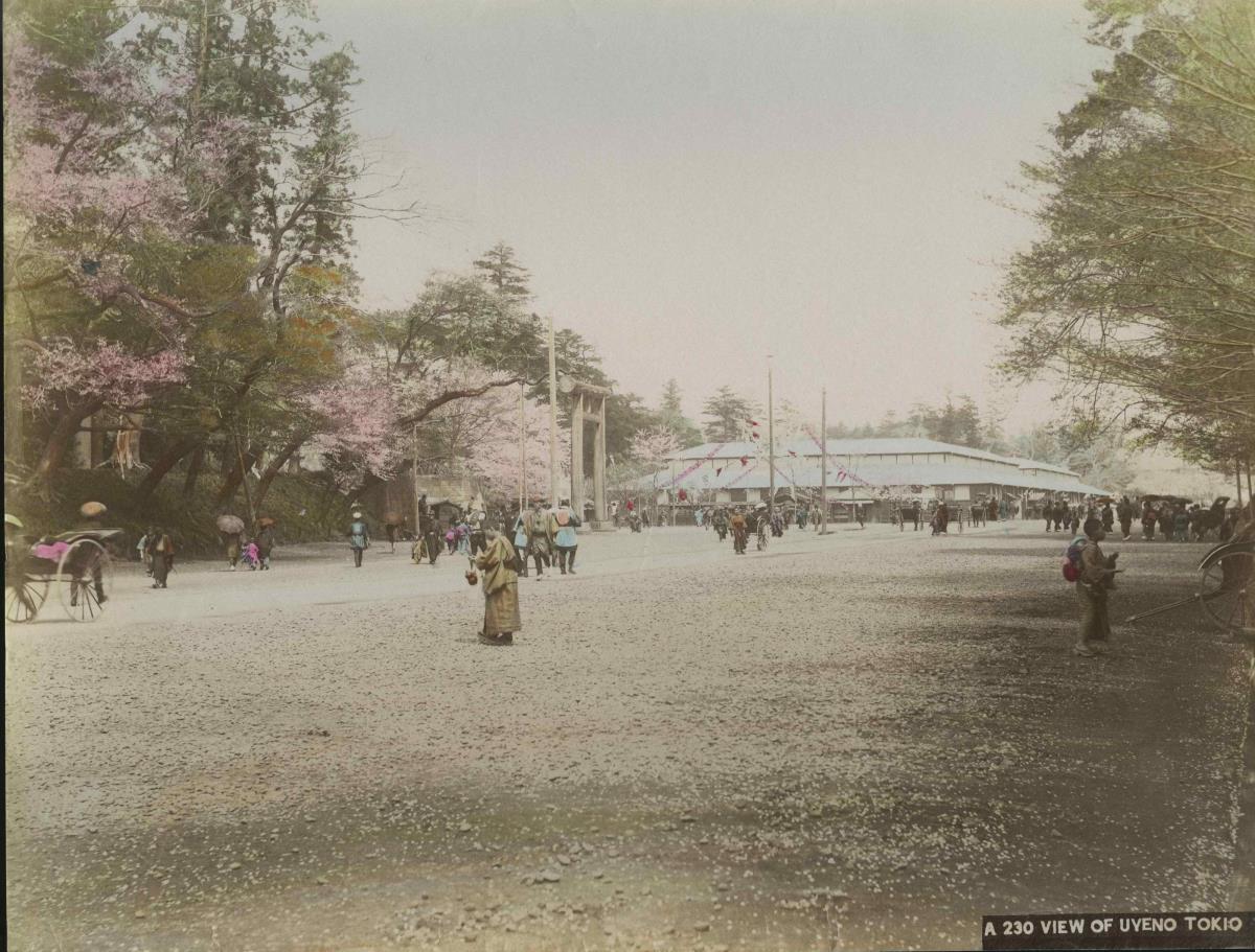 Teilansicht des Uenoparks　上野公園風景