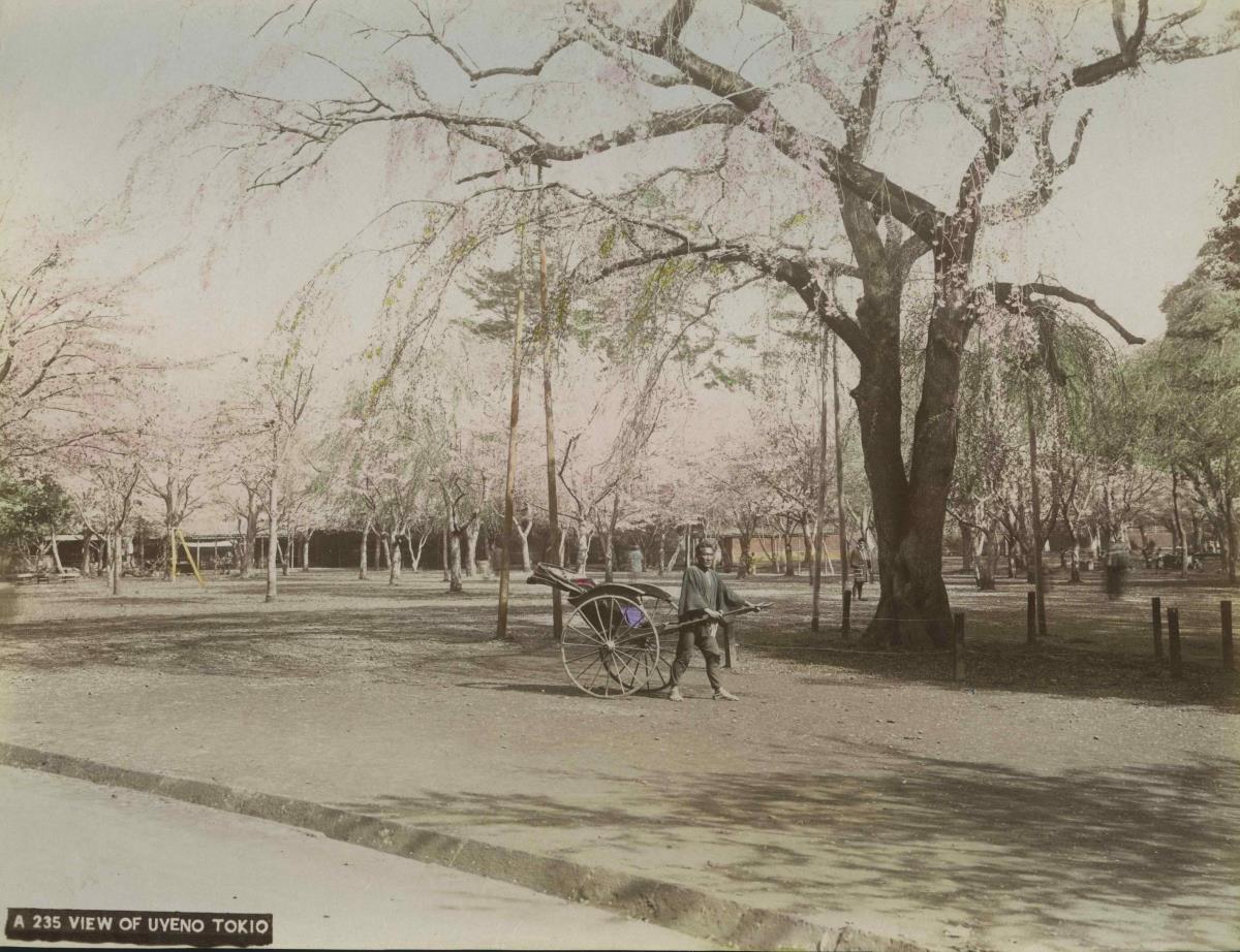 Ansicht des Ueno-Parks mit einem Rikscha-Fahrer