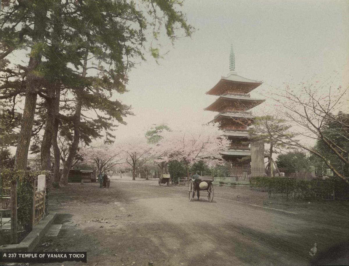 Ansicht einer Pagode im Stadtteil Yanaka/Tôkyô