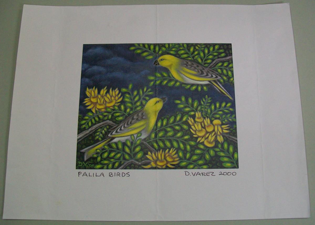 Palila Birds