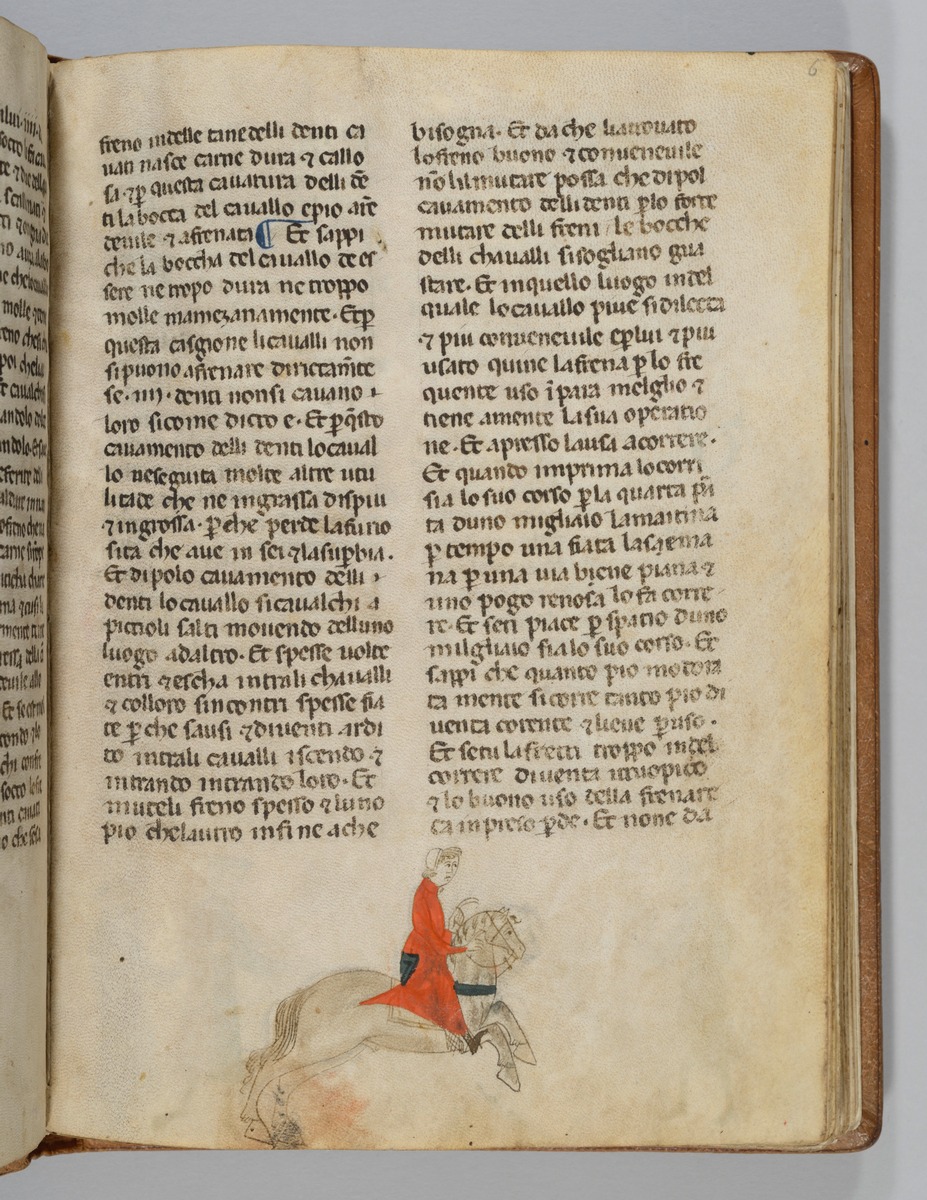 Giordano Rosso, Libro delle Mariscalcie dei cavalli. Pferdekauf
