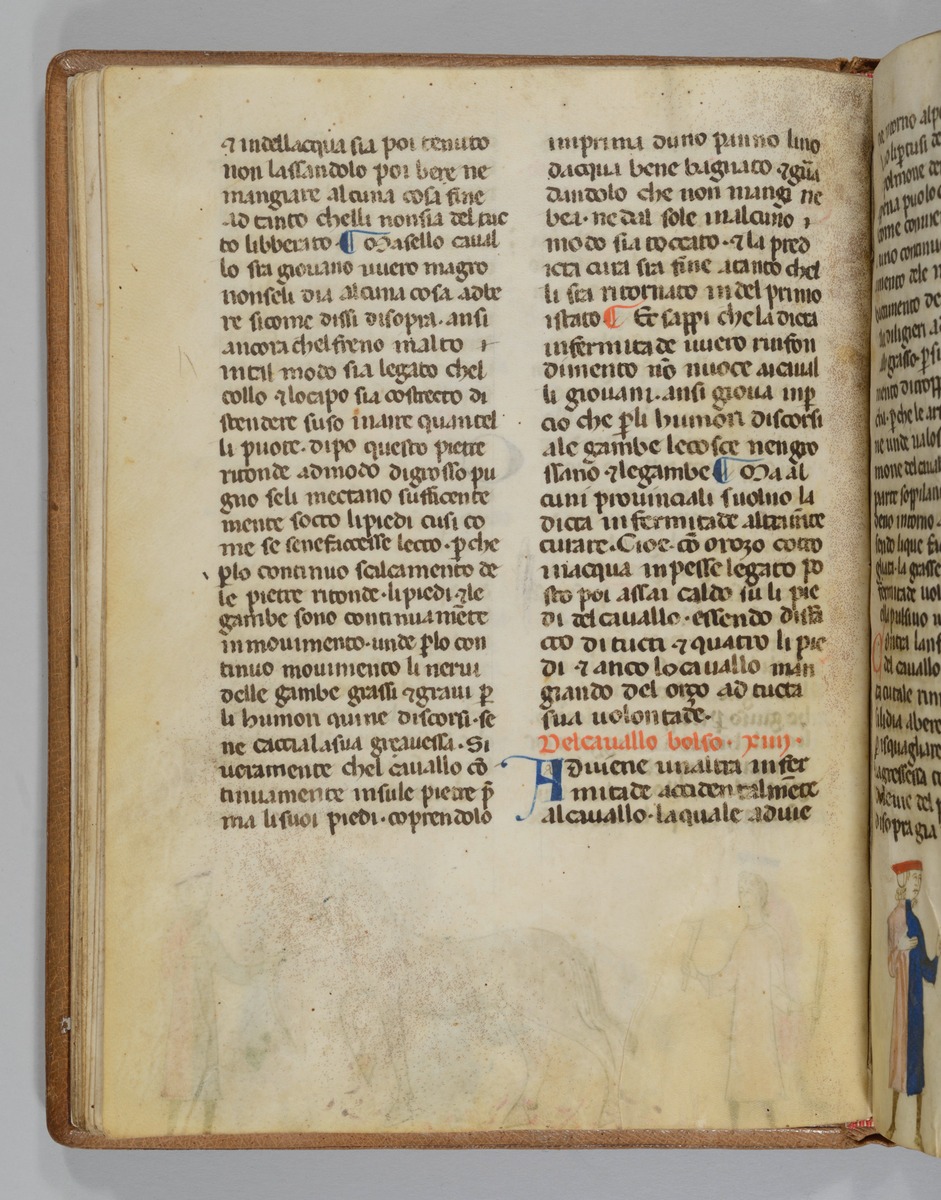 Giordano Rosso, Libro delle Mariscalcie dei cavalli.
