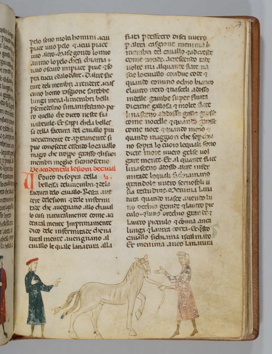 Giordano Rosso, Libro delle Mariscalcie dei cavalli. Pferdekauf