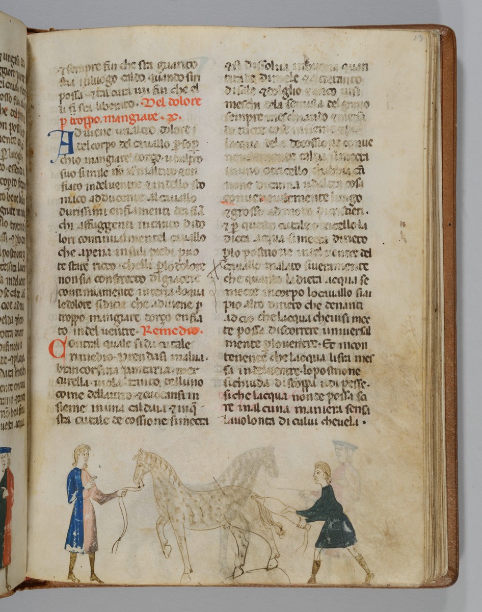 Giordano Rosso, Libro delle Mariscalcie dei cavalli. Das Pferd erhält ein Klistier