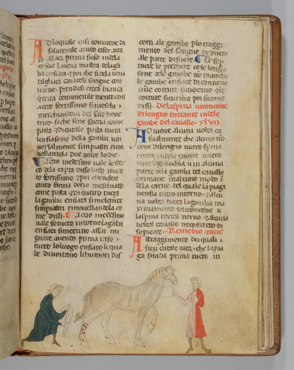 Giordano Rosso, Libro delle Mariscalcie dei cavalli. Pferd, das am rechten Hinterbein einen Verband erhält