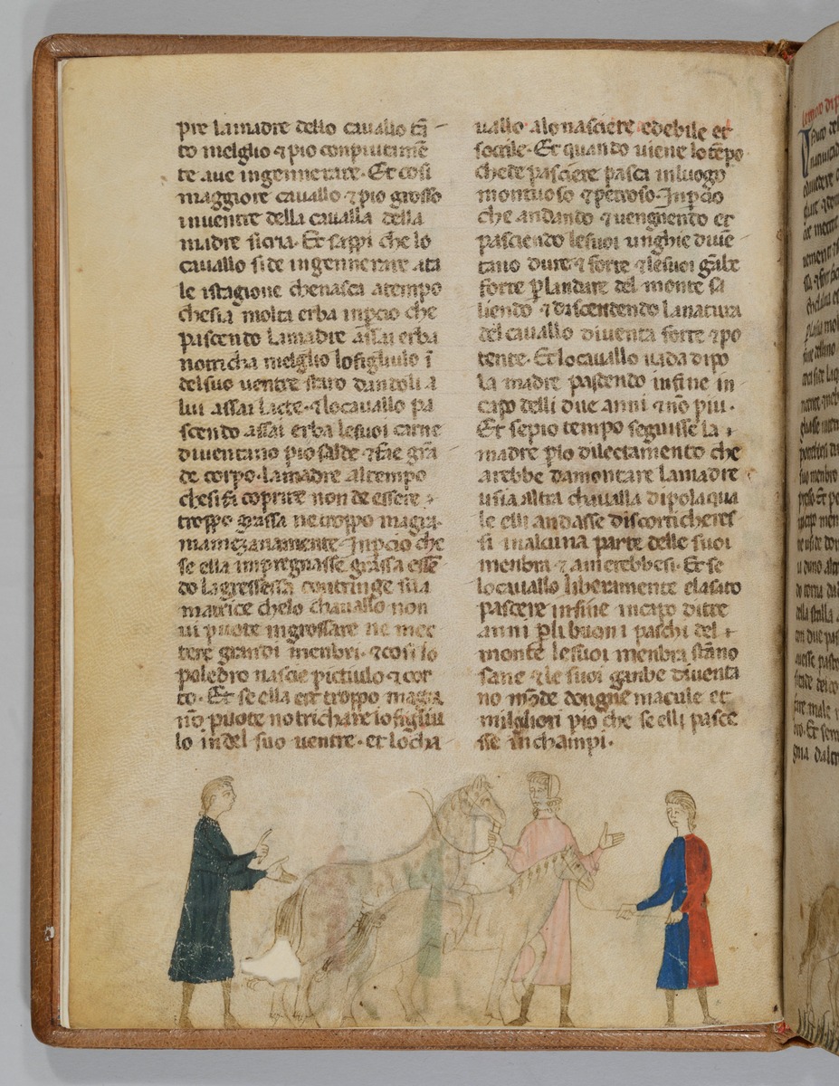 Giordano Rosso, Libro delle Mariscalcie dei cavalli. Beschälungsakt