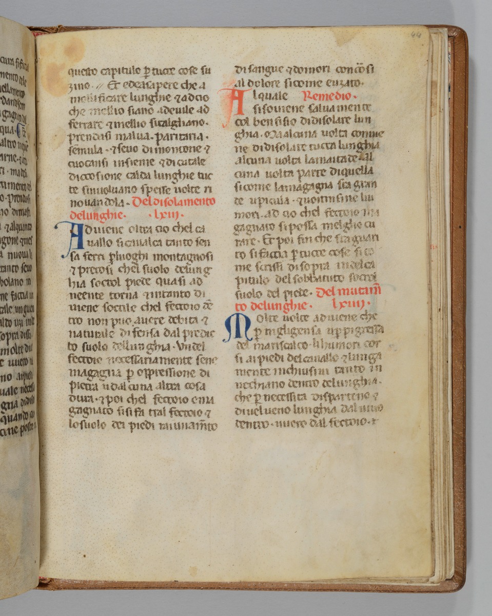 Giordano Rosso, Libro delle Mariscalcie dei cavalli.