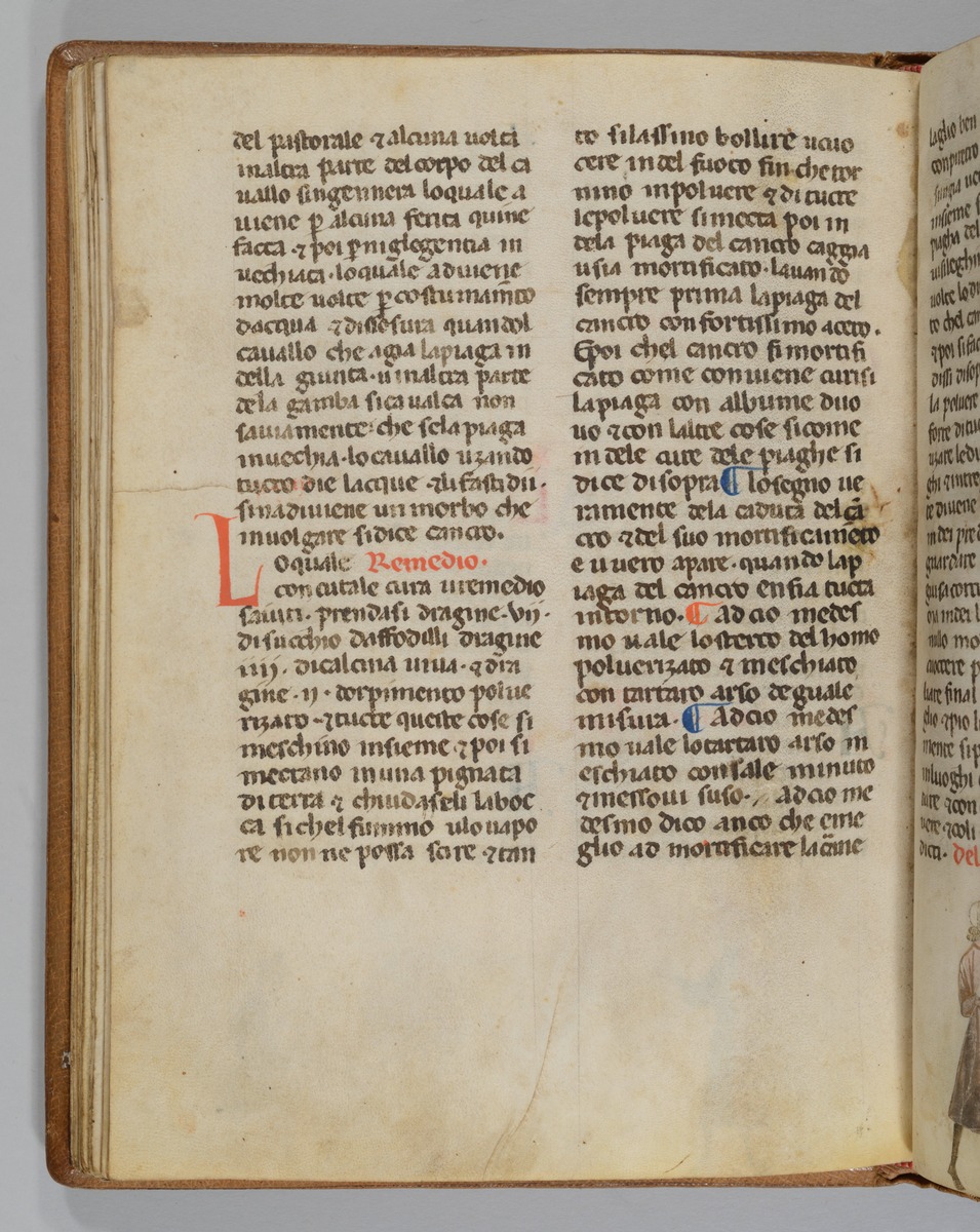 Giordano Rosso, Libro delle Mariscalcie dei cavalli.