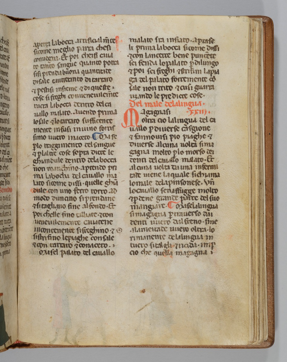 Giordano Rosso, Libro delle Mariscalcie dei cavalli.