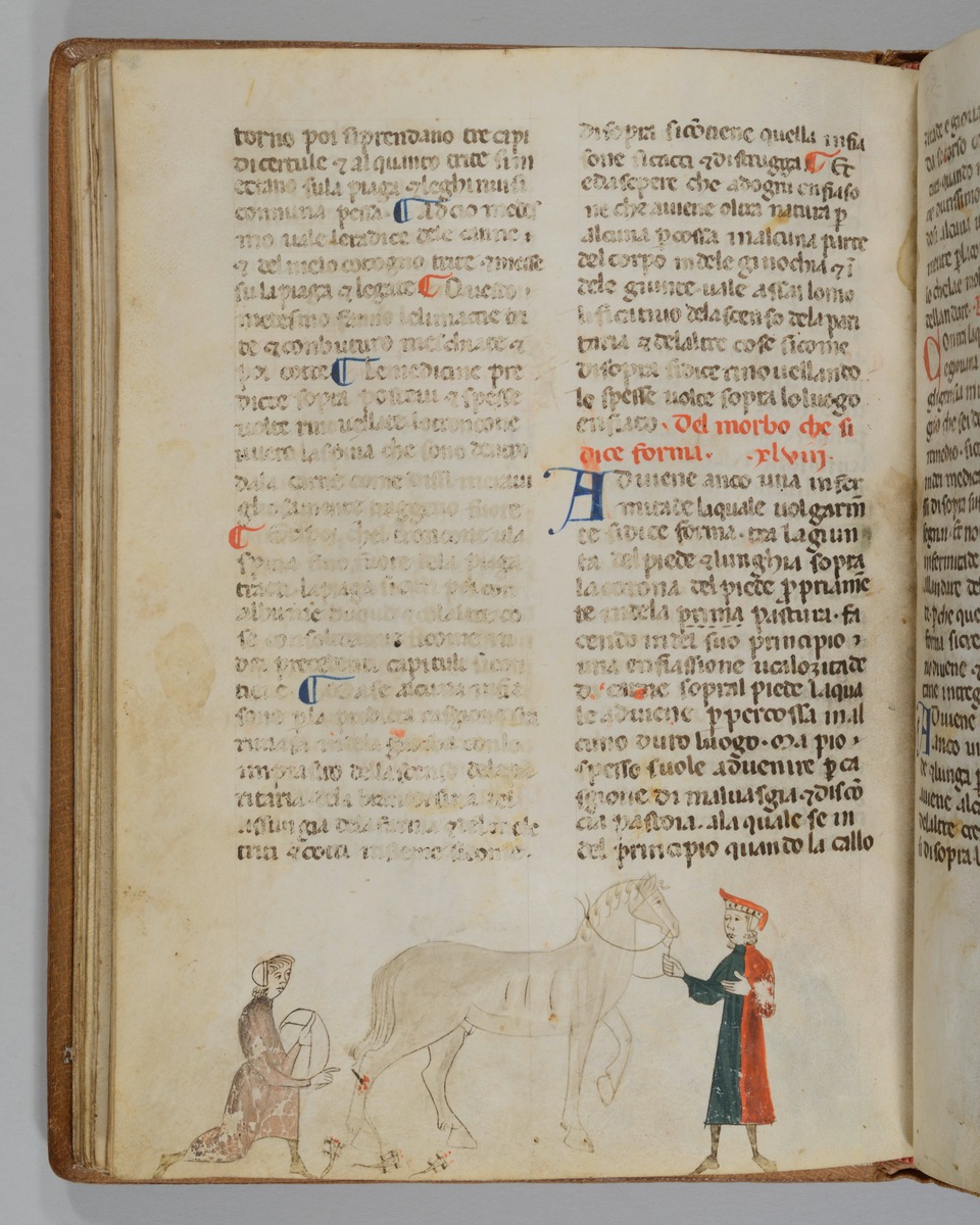 Giordano Rosso, Libro delle Mariscalcie dei cavalli. Pferd, das am rechten Hinterbein einen Verband erhält
